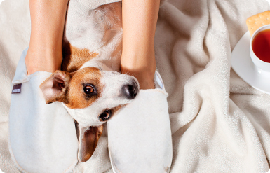 SiegfriedKummer clothes